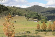 Holidays in Wollombi